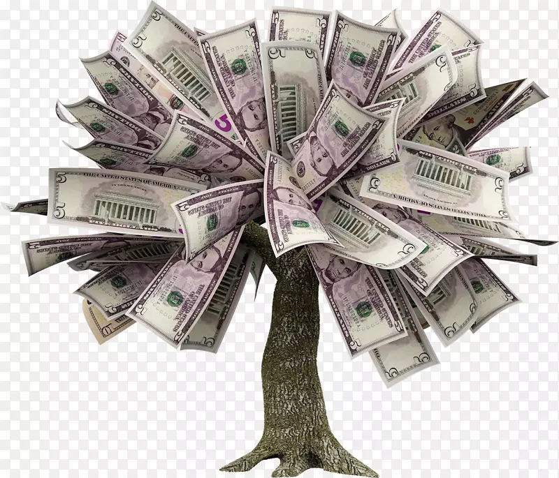 圭亚那板栗货币金融投资储蓄-货币树