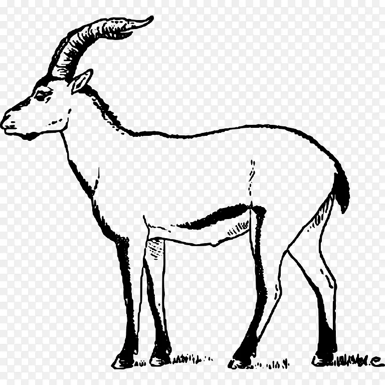 高山ibex盎格鲁努比亚山羊Pyrenean ibex葡萄牙ibex剪贴画