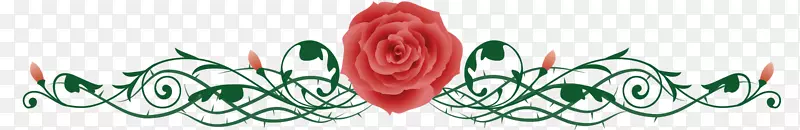 静物：粉红色的玫瑰，刺和刺-玫瑰。