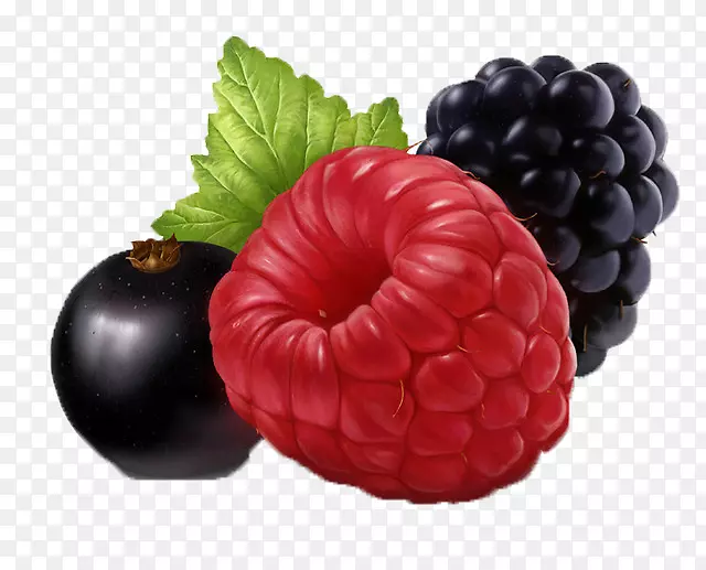 蓝莓葡萄红覆盆子葡萄酒-葡萄