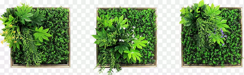 绿色墙壁贴花画框.绿色墙