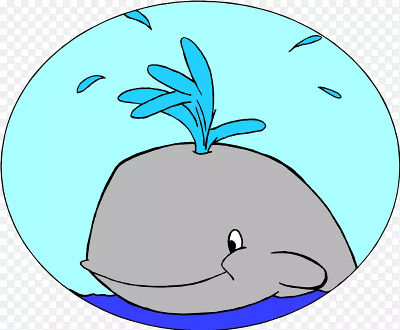 海洋鲸目蓝鲸讨论须鲸-初级