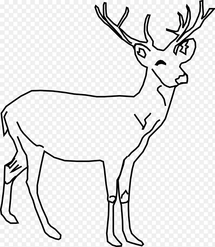 白尾鹿，驼鹿，麋鹿，艺术鹿
