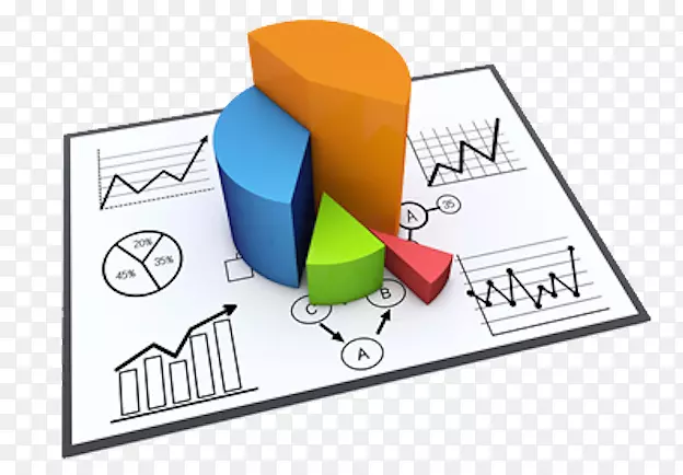 分析数据分析报告财务报表分析业务民意调查