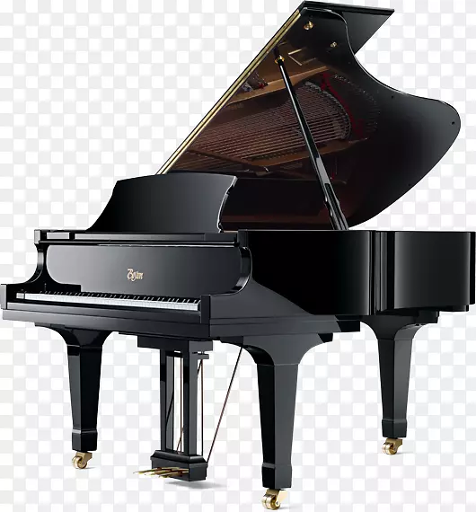 Blüthner钢琴Steinway&儿子乐器-钢琴