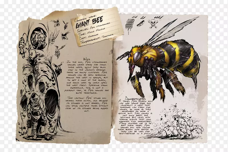 方舟：生存进化蜂巢蜂王蜜蜂API背蜂