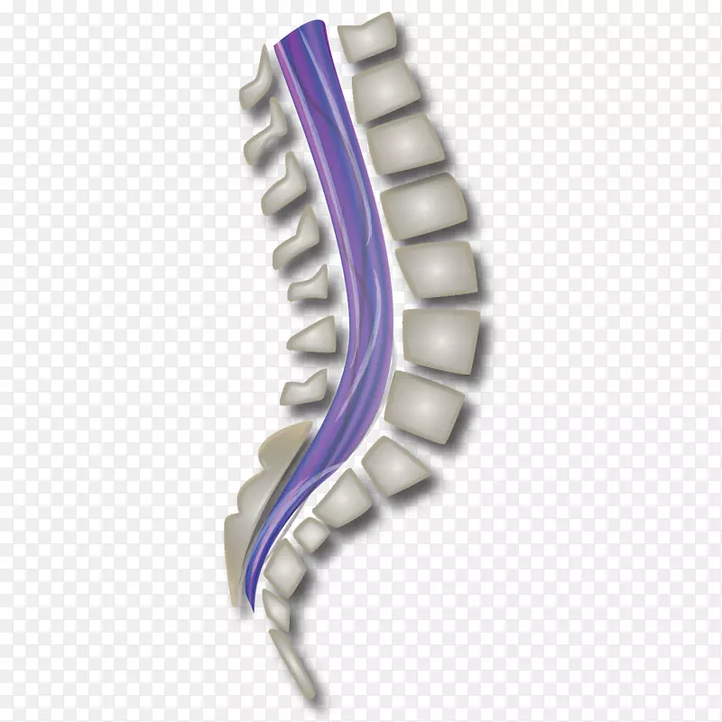 绿湾囊腕管综合征腕部疼痛脊椎-脊髓