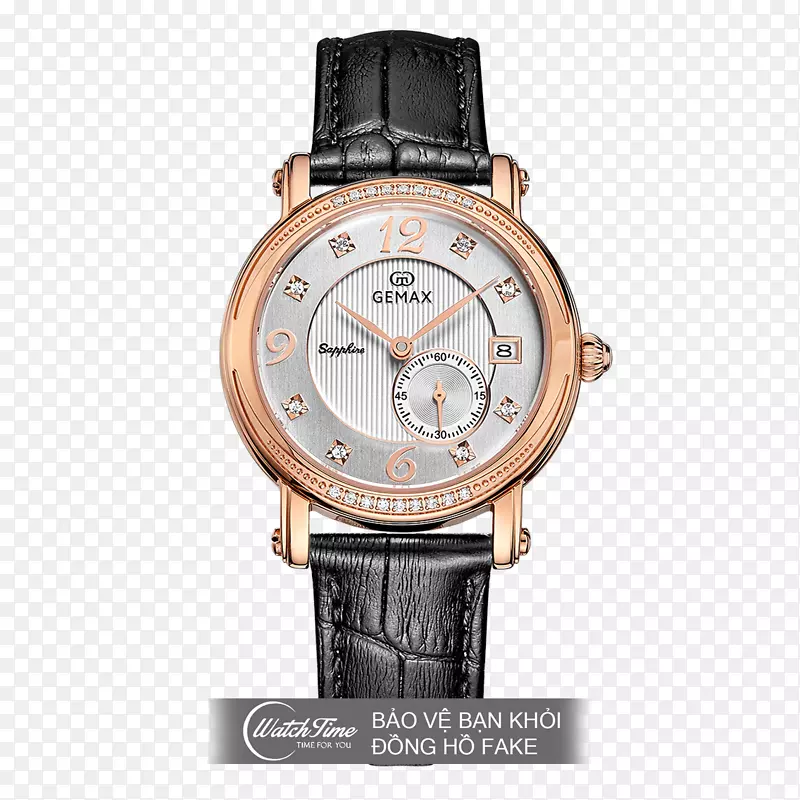 汉密尔顿手表公司手表表带钟表