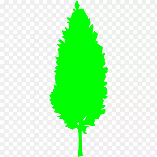 杉树计算机图标云杉松树