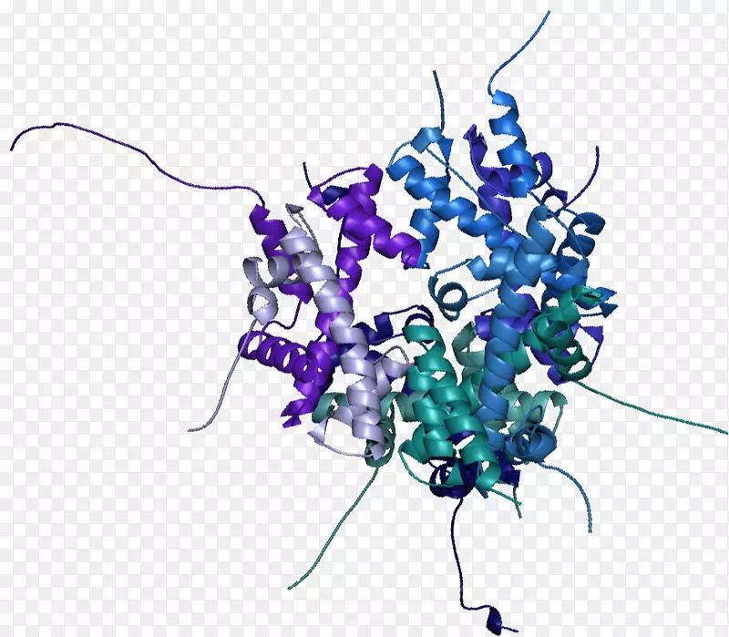 细胞培养中氨基酸标记蛋白质生物化学稳定同位素