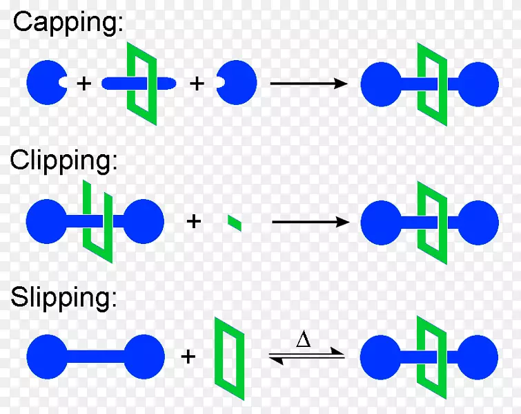 罗紫杉烷化学合成分子电子轮轴技术方法