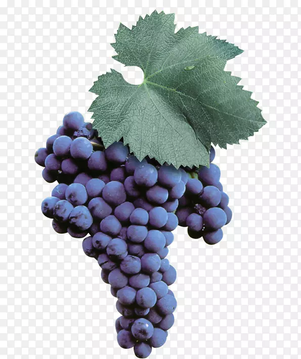 苏尔塔纳玛尔瓦西亚葡萄酒UVA第二特罗亚葡萄酒-葡萄酒