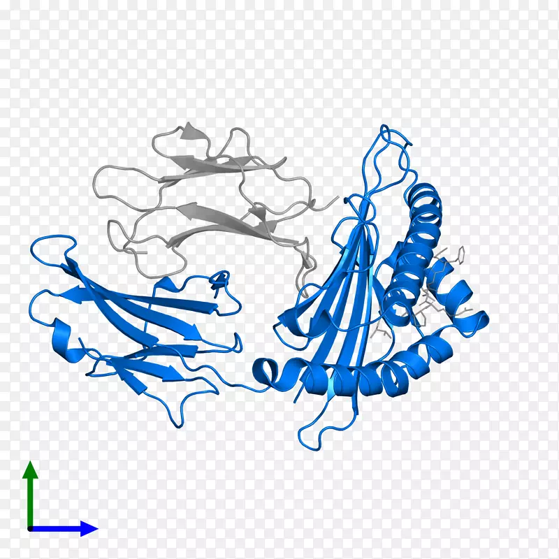 人白细胞抗原hla-a*02蛋白人白细胞抗原