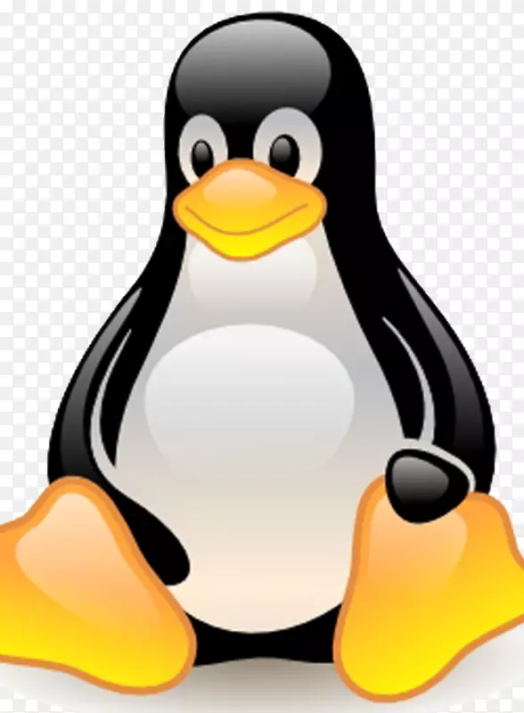linux计算机软件操作系统windows server-linux