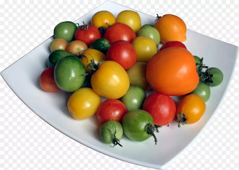 布什番茄素食饮食-番茄