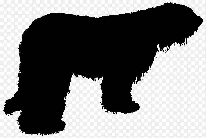 微型雪纳瑞犬纽芬兰犬小狗品种-小狗
