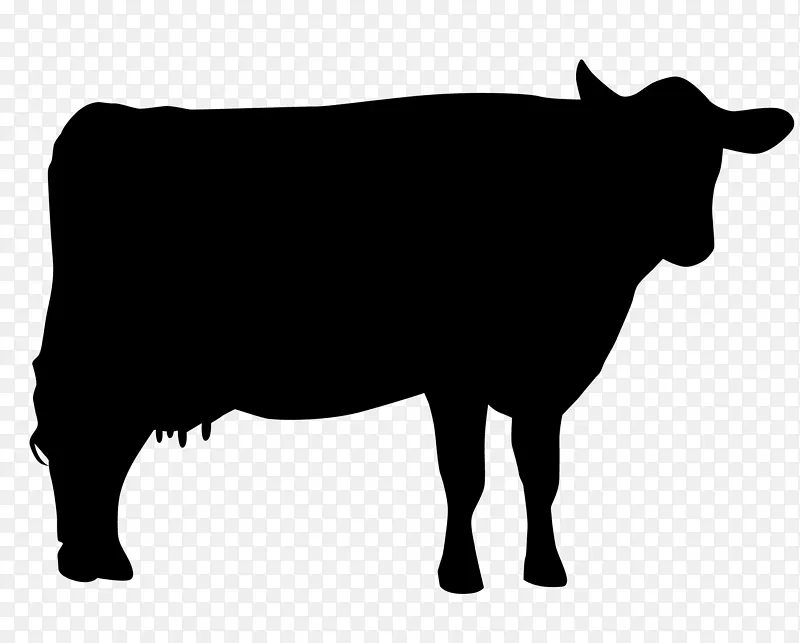 荷斯坦，弗里西亚牛，泽西牛，赫里福德牛，肉牛，圣哲特鲁迪牛-剪影