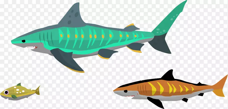虎鲨加密猫区块链游戏白斑-石斑鱼