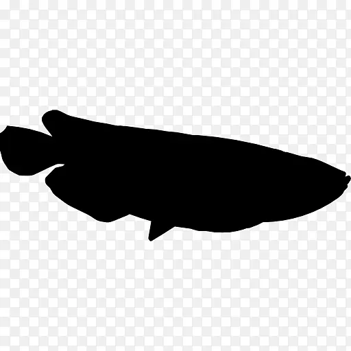 计算机图标银龙鱼亚洲龙鱼剪贴画-鱼