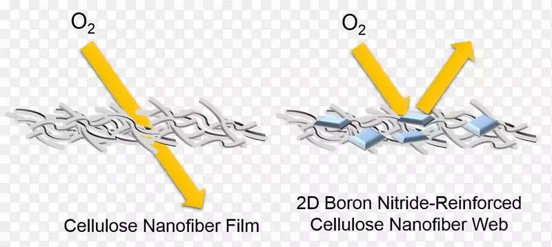 氮化硼纳米纤维素氮化硼