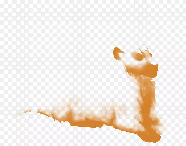胡须猫狗爪鼻猫