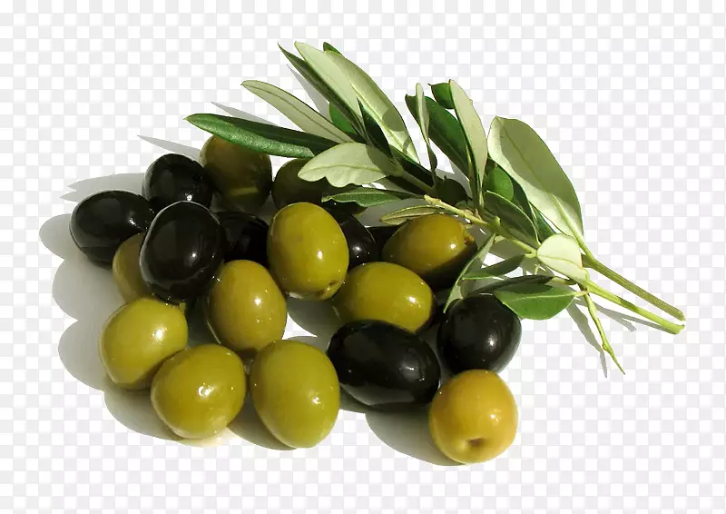 阿尔贝奎纳橄榄油地中海盆地果树