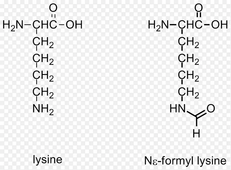 甲酰化反应顺反异构化N-甲酰蛋氨酸
