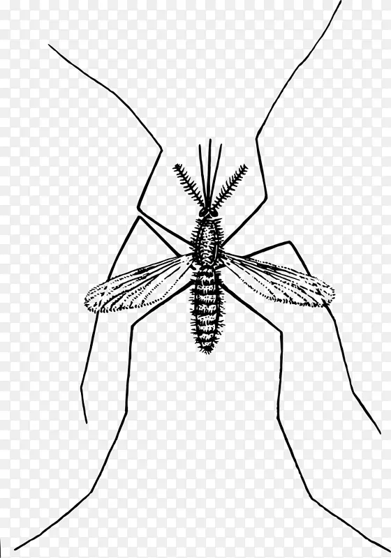电脑图标剪辑艺术-蚊子