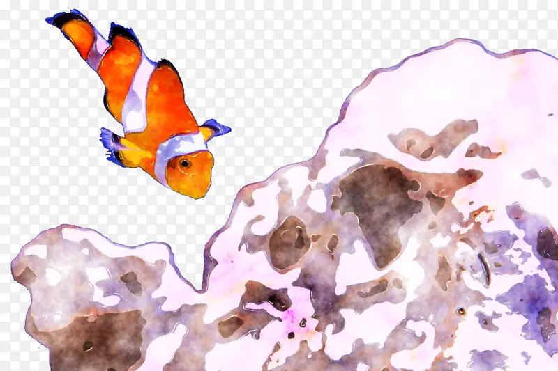 水彩画海洋生物文本水彩画鱼