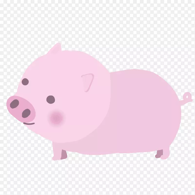 猪粉红鼻猪