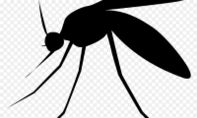 蚊虫传粉器虫害控制夹艺术-蚊子