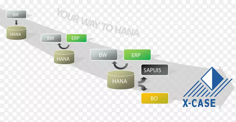 品牌技术-SAP Hana