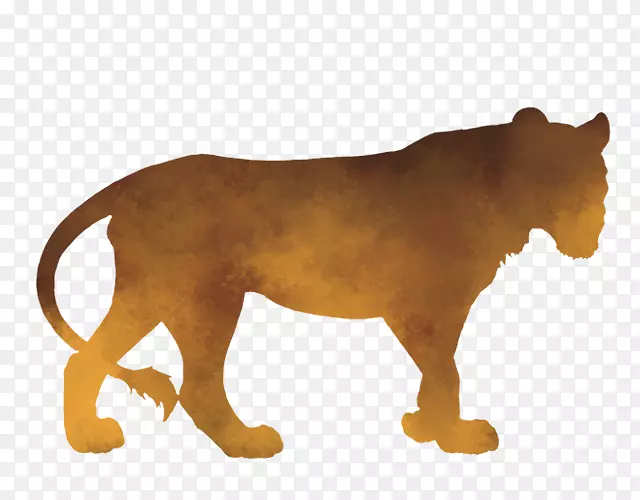 狮子对光大猫斑马-狮子