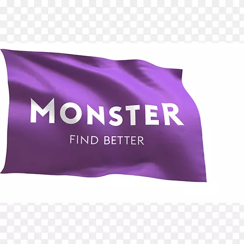 Monster.com求职网站-学习曲线组