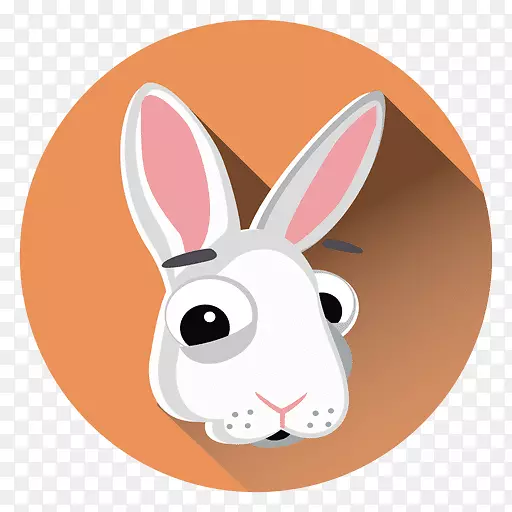 国内兔子欧洲兔子复活节兔子画卡通-兔子