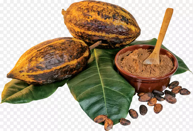 可可豆可可树可可固体巧克力有机食品巧克力