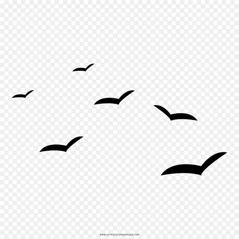海鸥画彩绘书黑白绘画