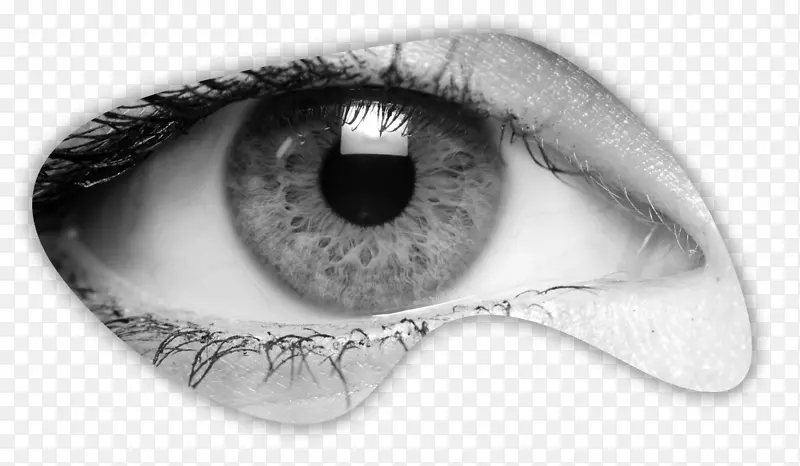 人眼视觉感知凝视视觉假体-眼睛