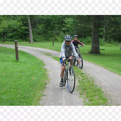 自行车-交叉自行车，公路自行车，赛车，自行车，混合自行车-自行车