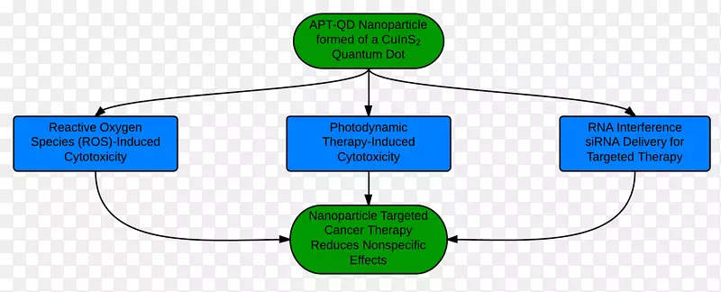 肿瘤靶向治疗纳米粒-MCF 7的治疗