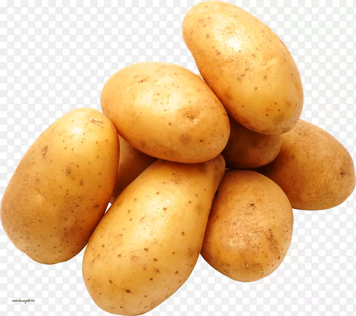 炸薯条育空金土豆剪贴画-蔬菜