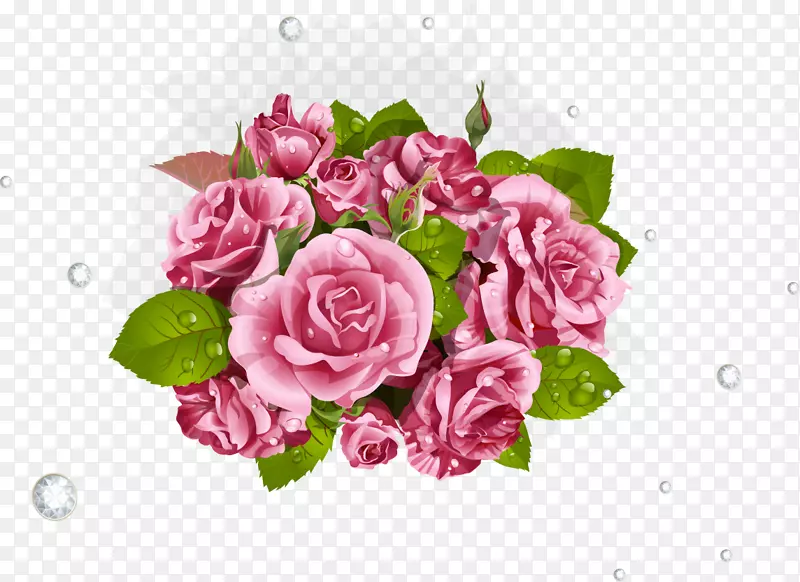 花园玫瑰，卷心菜，玫瑰剪贴画-花