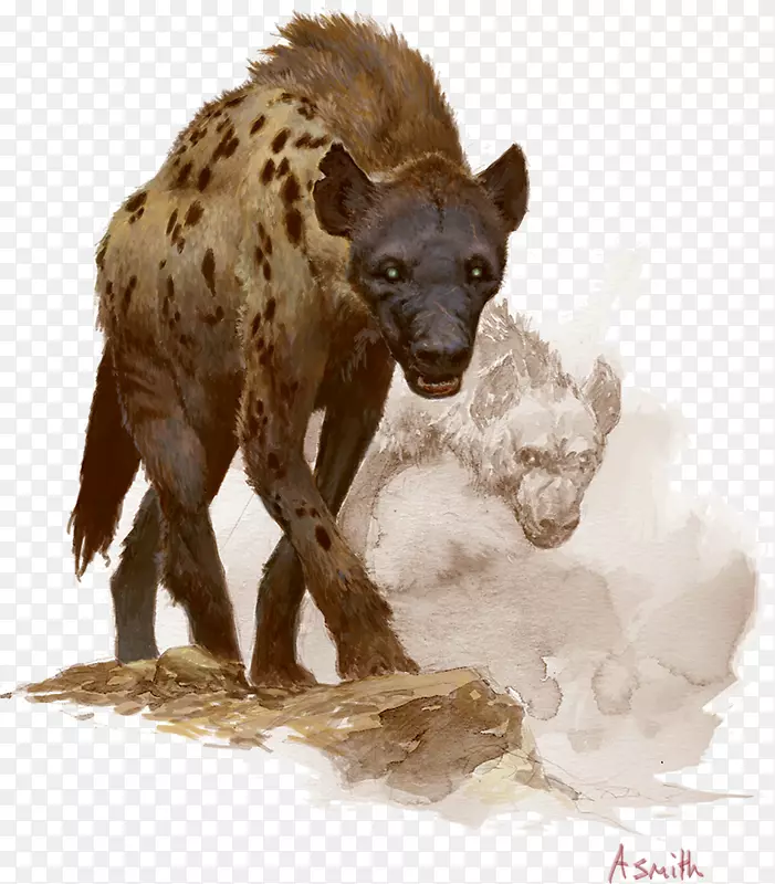 土狼柯南，野蛮人画的超级无聊的肩鬣狗
