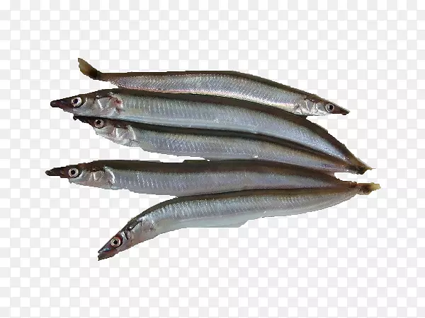 沙丁鱼，太平洋桑鱼产品，凤尾鱼，油性鱼类.竹笋