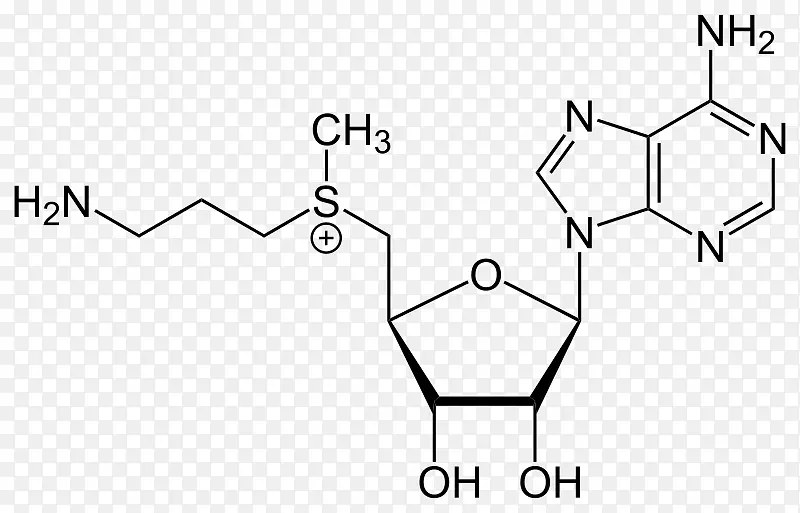 三磷酸腺苷鸟苷化学核苷酸