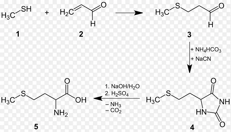 蛋氨酸半胱氨酸化学合成蛋白质性氨基酸化学