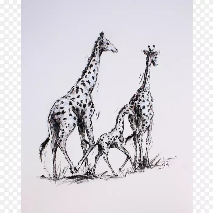 绘画版画印刷艺术纸长颈鹿