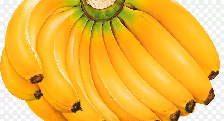 烹饪香蕉水果、浆果糖-香蕉家族