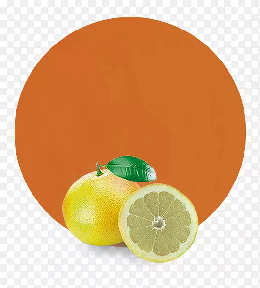 金门葡萄柚，橘子-葡萄柚