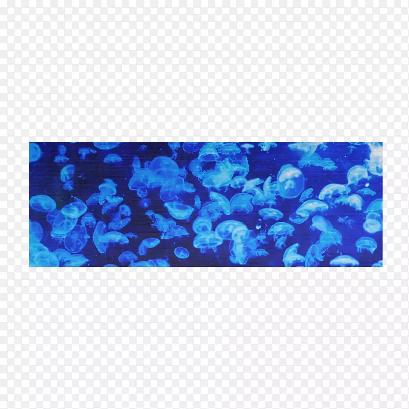 蓝色水母桌面壁纸海洋瑜伽垫